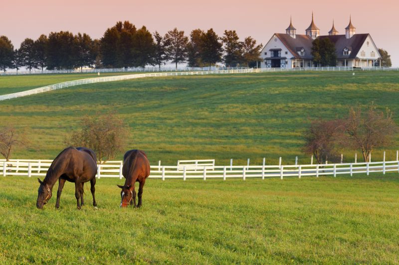 Equine Fence Installation